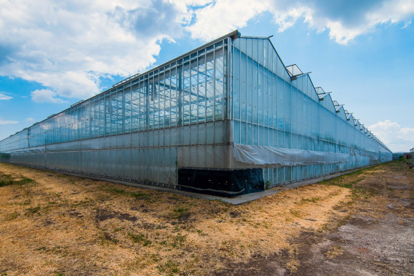 The existing agricultural complex in Kherson